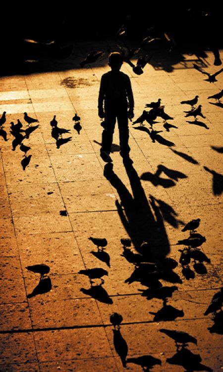 Le Petit Garçon avec une ombre d'oiseau