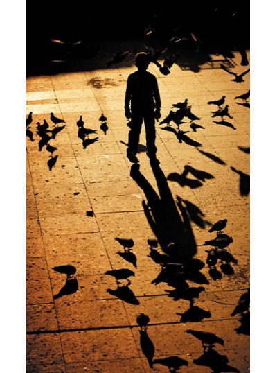 Le Petit Garçon avec une ombre d'oiseau